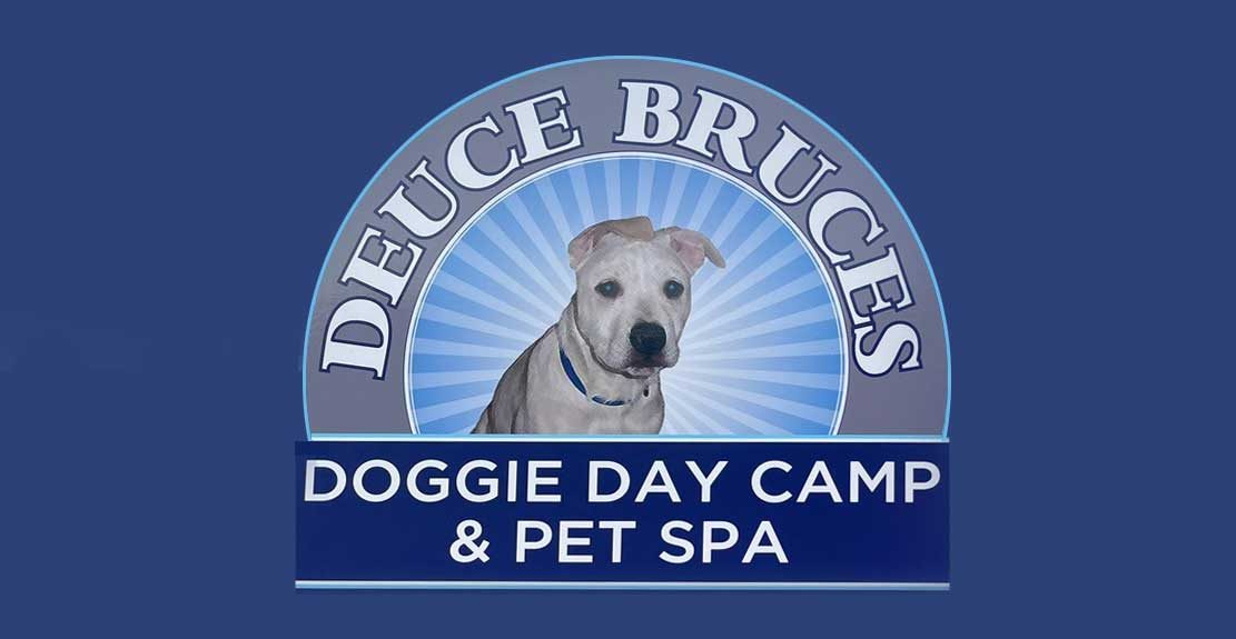 Deuce-Bruces-Dog-Grooming-Boiling-Springs-SC