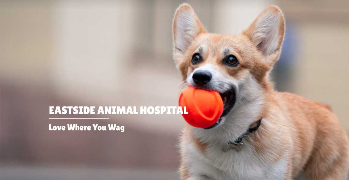 Eastside-Animal-Hospital-Spartanburg-SC