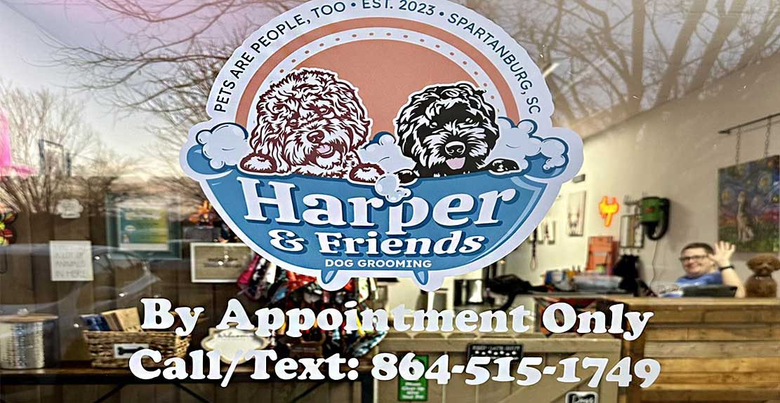 Harper-and-Friends-Dog-Grooming-Near-Me