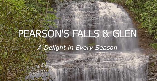 PEARSON'S-FALLS-&-GLEN